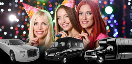 Rent Limo Party Bus For Birthday Parties In Napa